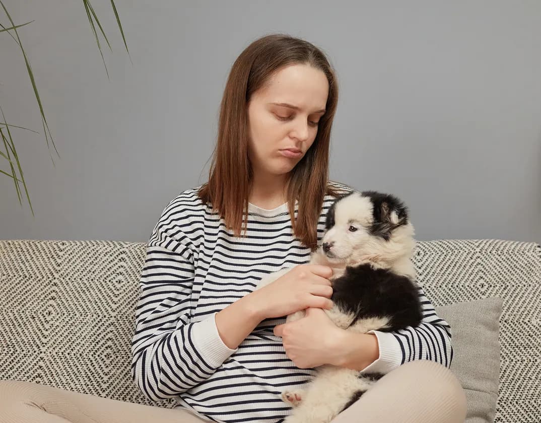 Itchy dog or cat; online itching and allergy care with TelaVets