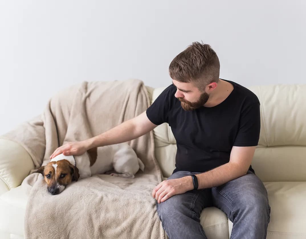 Skin problem on pet addressed in an online vet appointment