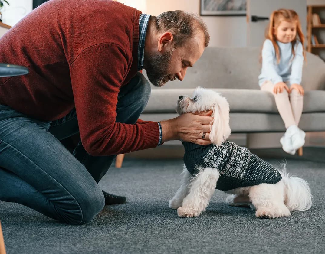 Pet vomiting; virtual veterinarian triage on TelaVets