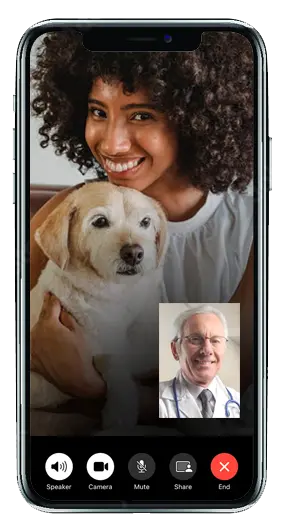 Video chat interface on mobile
