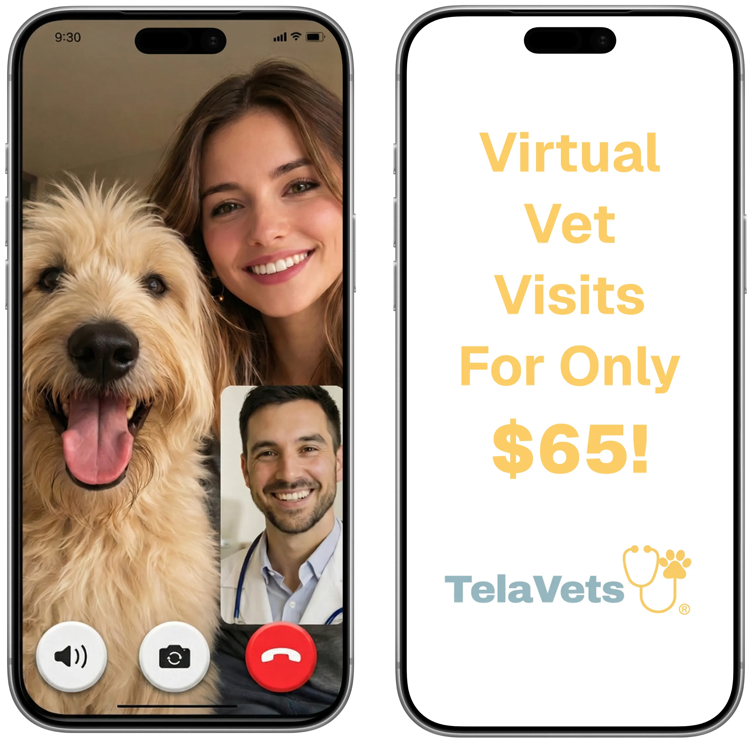 Online vet care - virtual veterinarian consultation