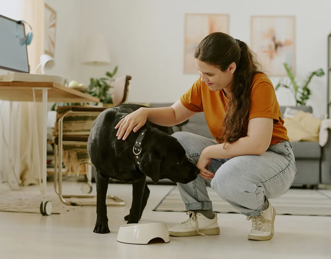 Urinary health consultation for dogs and cats via televet